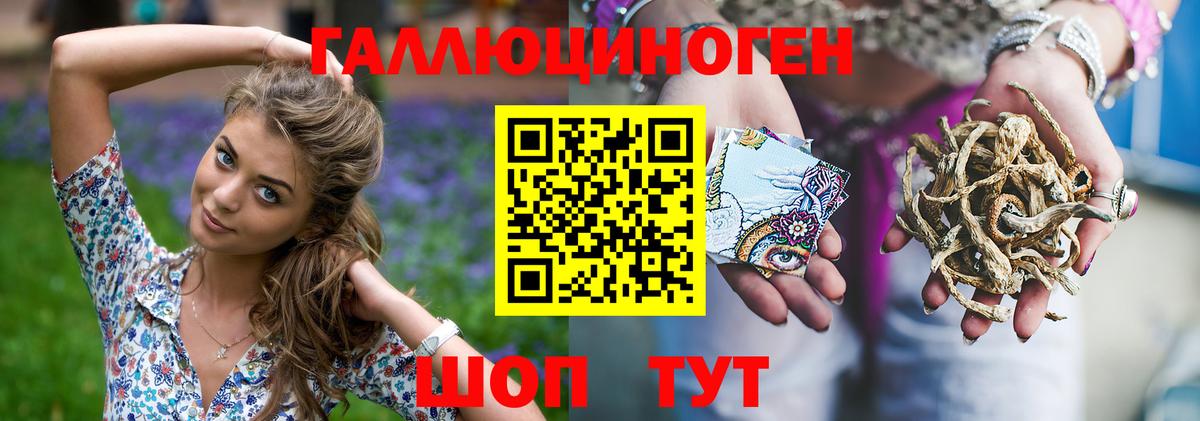 Галлюциногенные грибы Psilocybe Нурлат